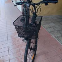 Bicicletta elettrica
