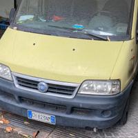 Ducato