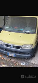 Ducato