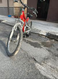 bicicletta con marce