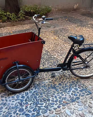 Babboe Big cargo bike / bakfiets