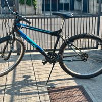 Mountain Bike Uomo Hogan H2700
