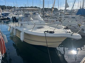 White Shark 268 del 2006