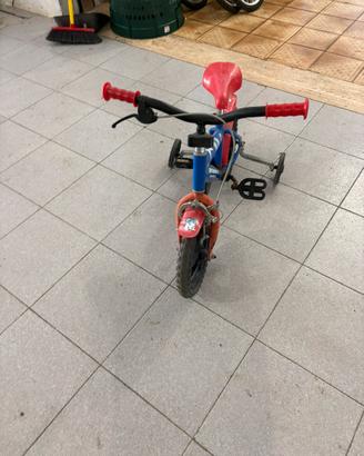 Bicicletta 44 gatti
