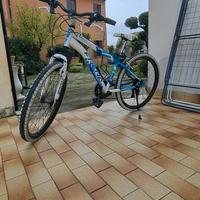 BICICLETTA MOUNTAIBIKE FRERA BLU