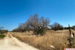 Terreno agricolo con cisterna ad ugento