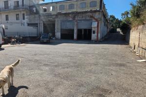 Locale artigianale caltanissetta