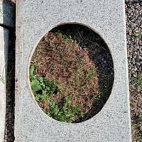 granito bianco Sardegna