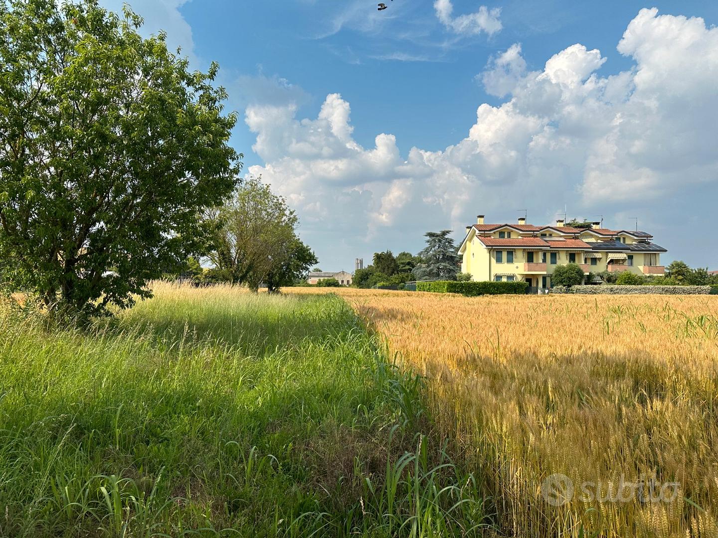Terreno agricolo cartura cagnola - Altro