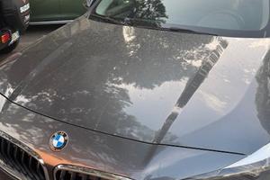 Bmw x2 (f39) - 2019