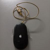 Mouse computer ( Apple )