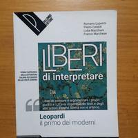 libro di italiano (liberi di interpretare) 