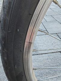 bicicletta 20''