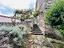 Immagine 11