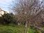 Immagine 29