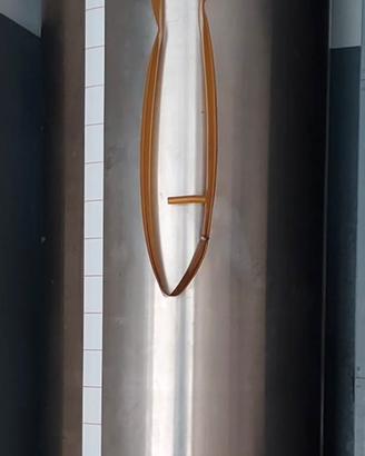 Botte 200 l