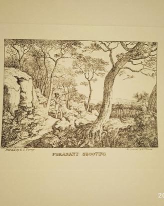 Stampe decorative anni '60 del '900