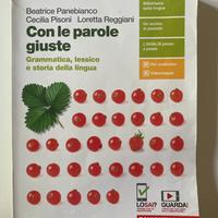 Con le parole giuste