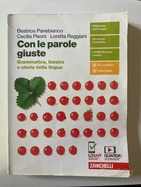 Con le parole giuste