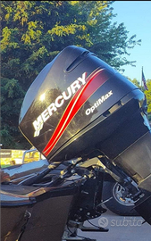 Ricambi 200/225/250 Optimax