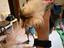 Immagine 1