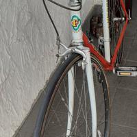 bicicletta fruggeri