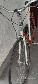 bicicletta fruggeri