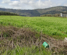 Terreno agricolo