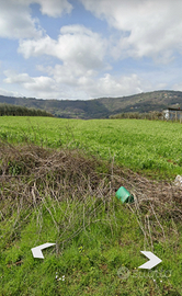 Terreno agricolo