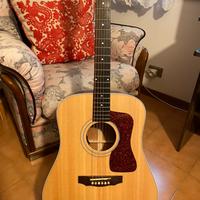 Guild D40e (L.R.Baggs)