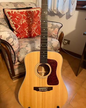 Guild D40e (L.R.Baggs)