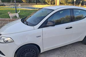 LANCIA YPSILON 1200 ELEFANTINO BLU