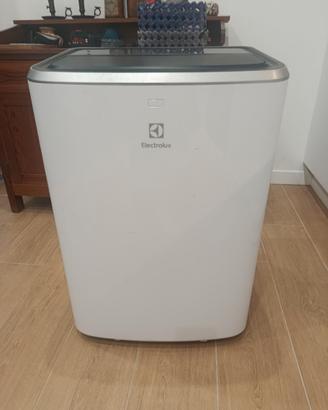 condizionatore freddo caldo electrolux 