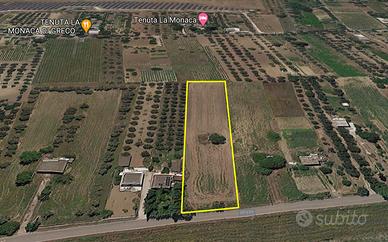 Terreno con rudere via foresta Aradeo