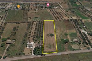 Terreno con rudere via foresta Aradeo