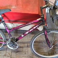 bicicletta