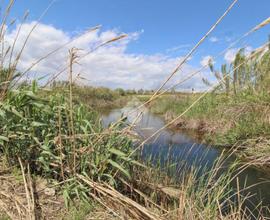 TER. AGRICOLO A ISOLA DI CAPO RIZZUTO