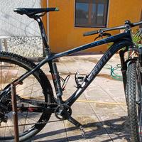 Mtb Scapin Orakle 29