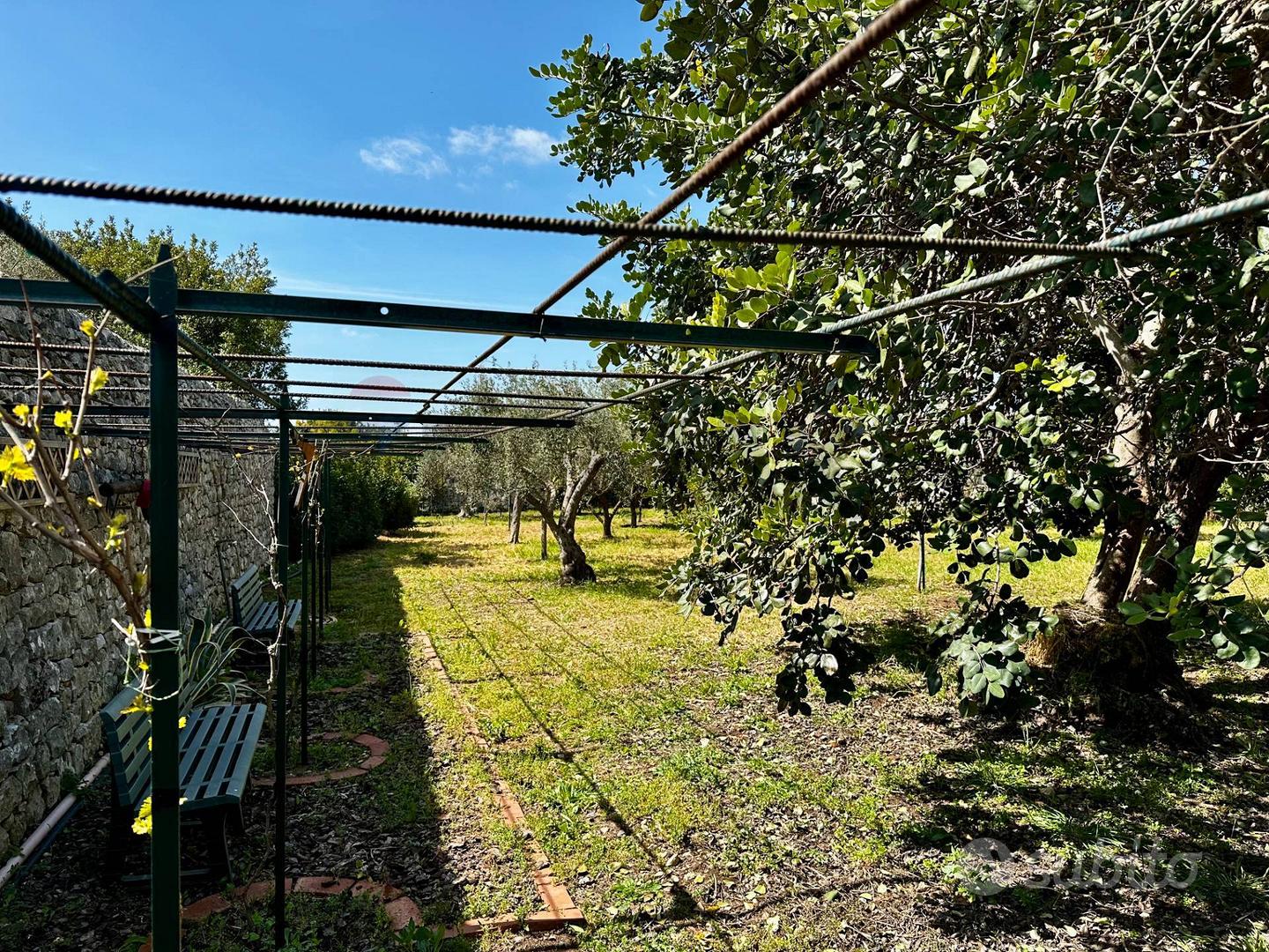 Cascina/Casale - Modica - Vista 4