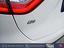 Immagine 13