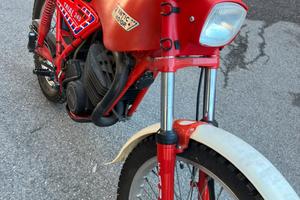 Fantic 240 professional ASI