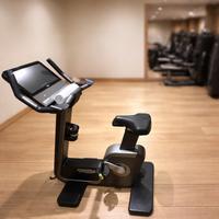 Technogym Artis Bike