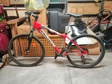 bicicicletta bianchi mountain bike bambino
