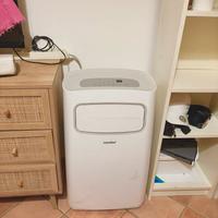 Pinguino climatizzatore portatile deumidificatore