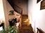 Immagine 13