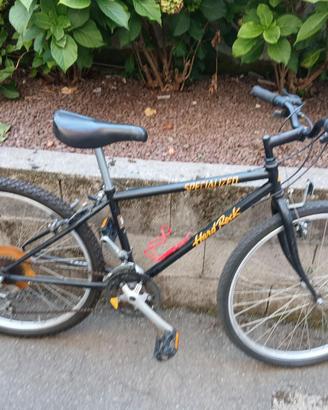 Bicicletta da uomo MTB marca Specialized usata