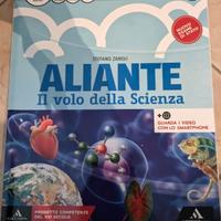 Aliante 1 - usato FODERATO