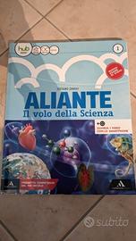 Aliante 1 - usato FODERATO