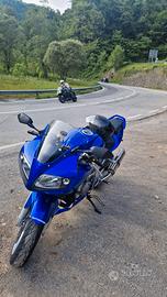 SV1000S 2003 - Leggere bene!!