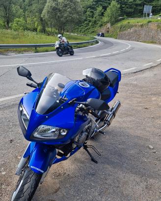 SV1000S 2003 - Leggere bene!!